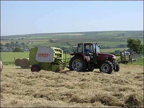 hay making